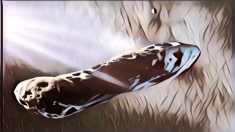 Profesor Harvard Yakin Bahwa Ada Alien yang Datang ke Bumi di Tahun 2017, Benarkahh Begitu?