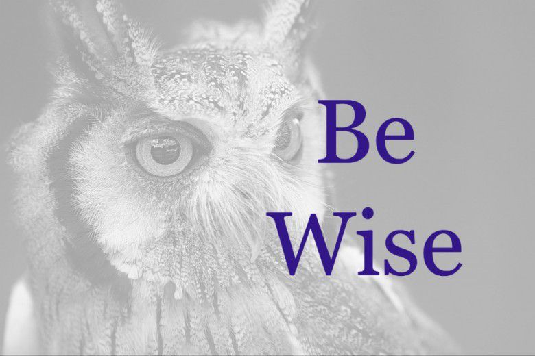 1. Dituntut untuk selalu bijak