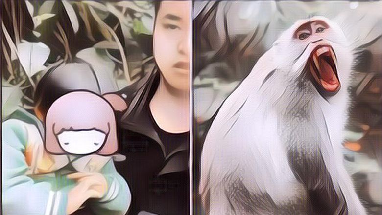 Gak Lazim! Bocah 3 Tahun Diculik Monyet, Berujung Ditemukan Di Lokasi Mengejutkan Ini