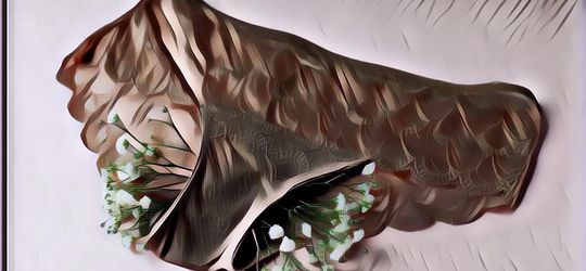 Tips Ampuh untuk Menghilangkan Bau Tidak Sedap Pada Miss V