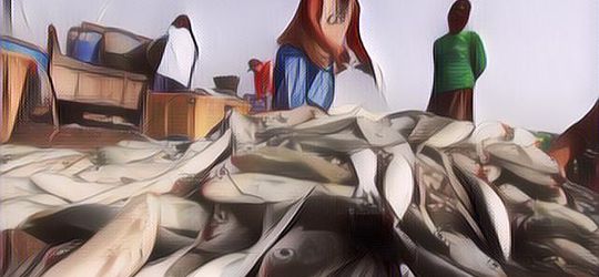 3 Hasil Laut Indonesia yang Harganya Tinggi Banget, Referensi Buat Bisnis Nih