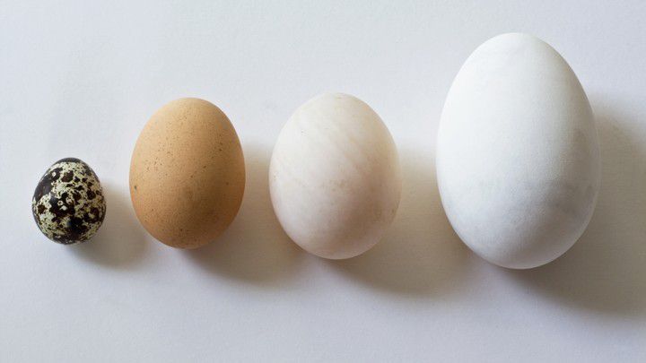 5. Membandingkan diri dengan orang lain