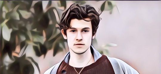 Lirik Dan Chord Imagination - Shawn Mendes, Bermakna Tentang Khayalan Saat Jatuh Cinta