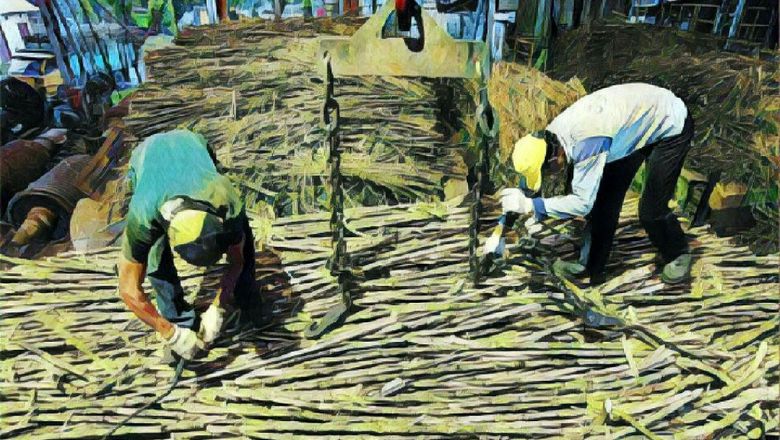 2030 akan Menjadi Era Kedaulatan Gula