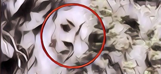 Batu Krobu: Bongkahan Batu Misterius Asal Probolinggo