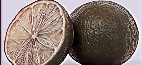 Nggak Cuma Segar, Ini Sederet Manfaat Jeruk Nipis Bagi Kesehatan Tubuh