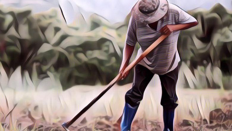 Viral Kisah Pria Jadi Petani di Jepang, Gajinya 1,3 Juta Per 8 Jam dan Tidak Merasa Capek Kerja