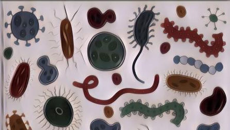 Biar Nggak Salah Ngerti, Yuk Kenalin Apa Sih Bedanya Kuman, Bakteri, Dan Virus