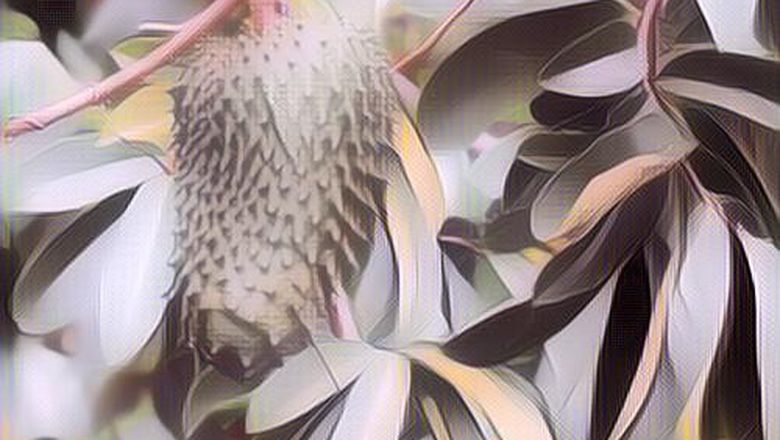 Kisah Misteri Pasutri di Karawang yang Tebang Pohon Depan Rumah, Dapat Teror Misterius!