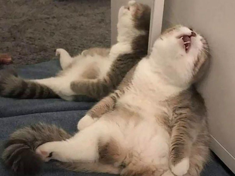 Pribahasa yang gak cocok buat kaum rebahan