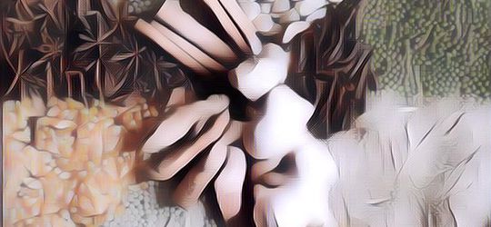 Deretan Rempah untuk Diet yang Efektif, Ternyata Ada di Sekitar Kita!