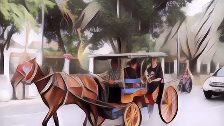 Viral Seekor Kuda Delman Hampir Jatuh Gara-Gara 'Emak Emak' Naik Motor