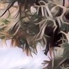 5 Manfaat Rumput Laut untuk Kecantikan, Bisa Atasi Jerawat Lho!
