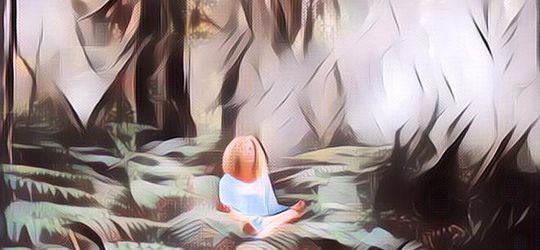 Apa Itu Terapi Hutan dan Efeknya untuk Kesehatan