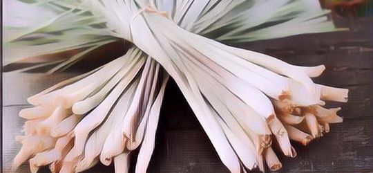 5 Manfaat Tak Terduga Sereh, Wajib Nyetok di Rumah Nih Mulai Sekarang!