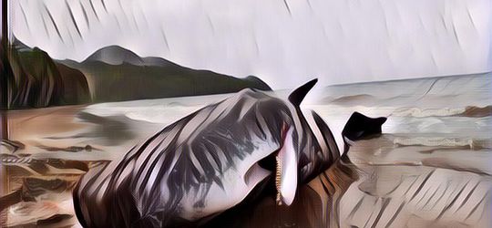 Ternyata Sepenting Itu! Tanpa Paus, Nasib Bumi Akan Berakhir Mengerikan