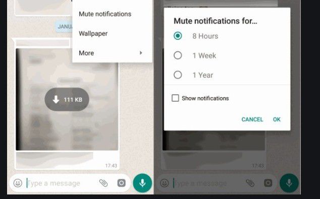 2. Cara mute grup di WhatsApp untuk iOS