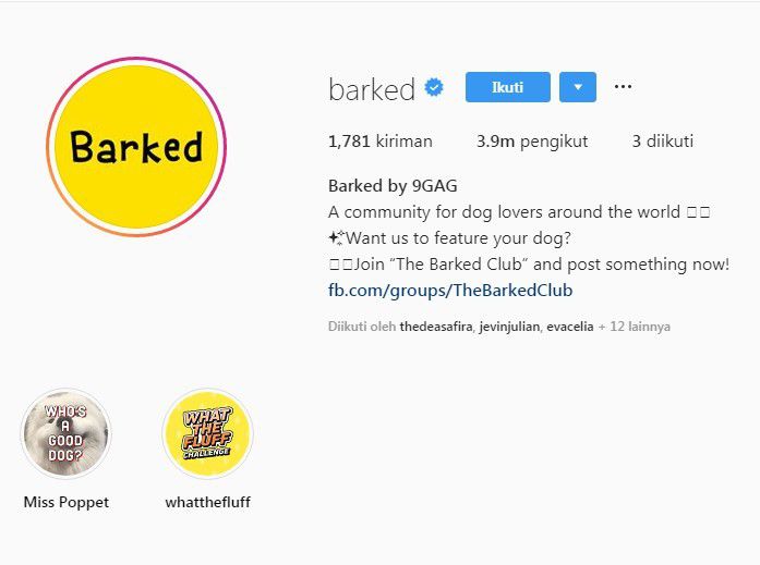2. Akun Instagram @barked 