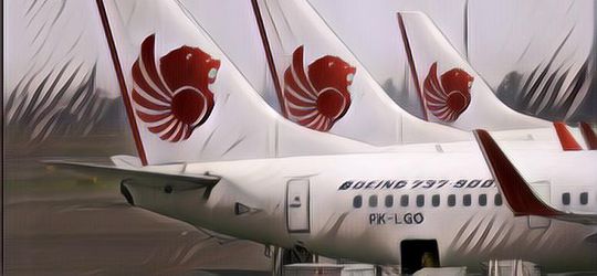 Dugaan yang Muncul dari Jatuhnya Lion Air JT 610