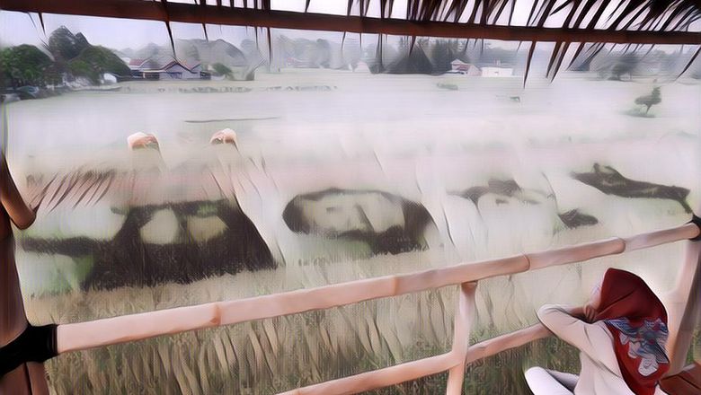 Wisata Sawah Kekinian di Yogyakarta, Bukan Kaleng-Kaleng~