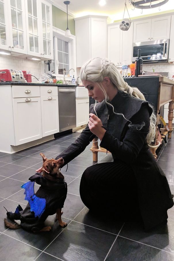 Ratu Daenerys dari Game of Thrones pun ikut hadir. Bedanya, peliharaannya bukanlah naga, melainkan anjing kecil dengan sayap di punggungnya.