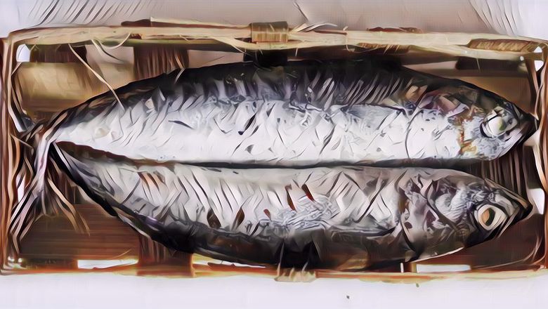 Manfaat Ikan Cue yang Biasa Dijual di Keranjang, Ternyata Bagus Banget untuk Tubuh!