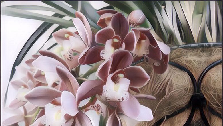 Bukan Tanah, Ini Media Tanam Anggrek Terbaik