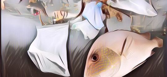 Ternyata dari Sini Loh Asal Sampah Plastik yang Ada di Lautan Lepas, Bikin Ekosistem Laut Terancam