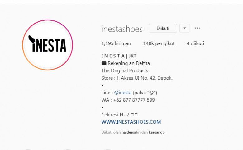 3. Inestashoes