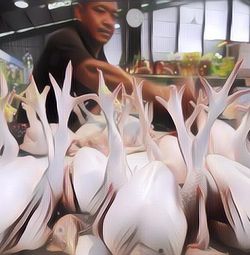 Apa Itu Ayam Merah yang Kerap Dicari Menjelang Lebaran?