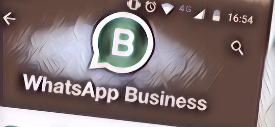 WhatsApp Sediakan Fitur Katalog bagi Pelaku Bisnis Memajang Barang Dagangan Mereka