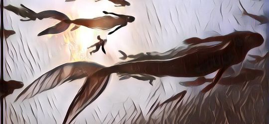 Ngeri Deh! Nyanyian Putri Duyung Dianggap Bisa Bawa Maut Buat Para Pelaut ...