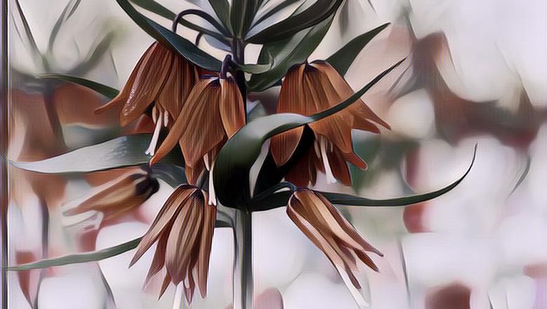 Penyegaran Mata, Yuk Lihat Foto-Foto Kebun Bunga Paling Indah Di Dunia