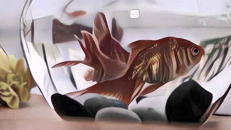 Bintang dari Segala Binatang-binatang: Hewan-hewan Peliharaan Supermahal