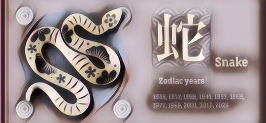 5 Shio yang Beruntung di Tahun Ular Kayu 2025 Ini