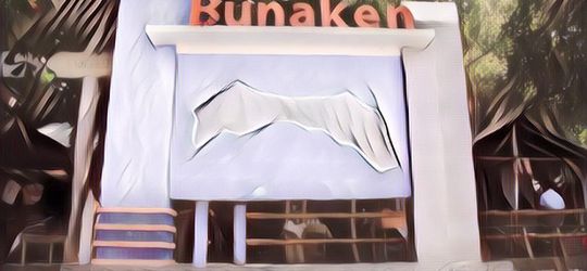 Tips Traveling di Taman Nasional Bunaken Indonesia, Surga Buat Wisata Selam