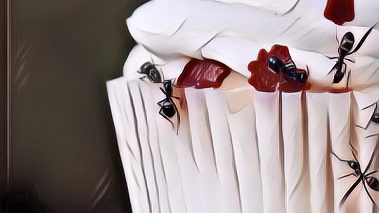 Makanan Sering Dikerubungi Semut? Ikuti Tips Ampuh Agar Makanan Terhindar dari Semut Ini