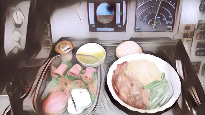Ini Dia Alasan Kenapa Pilot dan Co-Pilot Gak Boleh Menyantap Makanan yang Sama