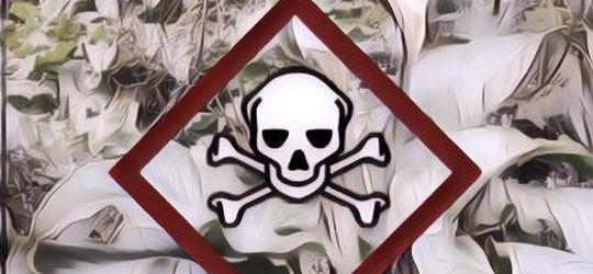 Awas! Tanaman Liar Ini Bisa Berbahaya Buat Tubuh Manusia