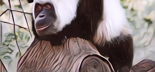 Wow! Hewan Hybrid Ini Benar-Benar Ada