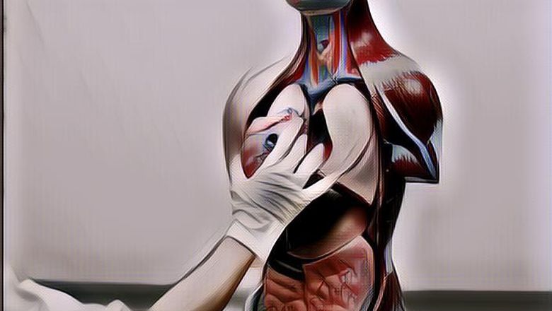 Dokter Spesialis Penyakit Dalam Menangani Penyakit Apa Saja?