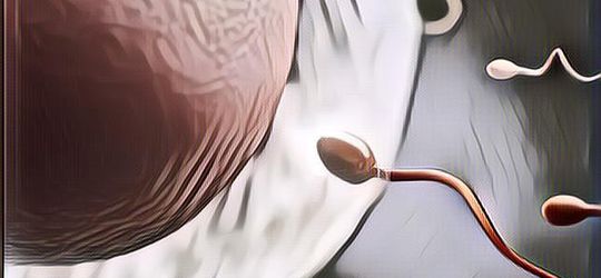 Para Pria Wajib Hati-Hati! 9 Hal Ini Bisa Sebabkan Kualitas Sperma Jadi Buruk