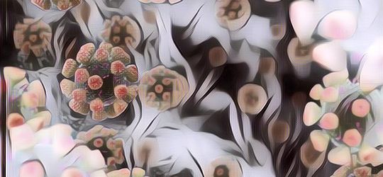 Ngegas Banget! Ini 3 Negara yang Dihantui Gelombang 4 COVID-19