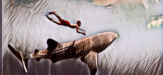 Taman Nasional yang Wajib Kamu Kunjungi, Sekali-Kali Dekat Sama Alam, dong