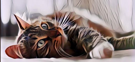 Gak Cuma Manusia, Kucing Ternyata juga Bisa Jadi Karyawan Rumah Sakit, Staf Keamanan Lagi!