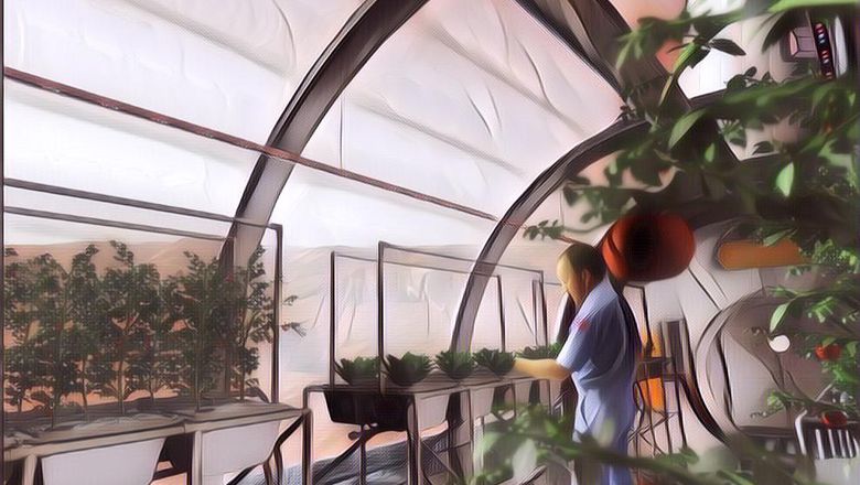 Tanaman Pertama yang Tumbuh di Permukaan Bulan