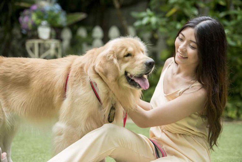 1. Stop dulu untuk tidur dengan hewan kesayangan