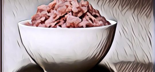 Para Ilmuwan di Korea Selatan Kembangkan Beras Berprotein, Lebih Ramah Lingkungan dan Praktis!