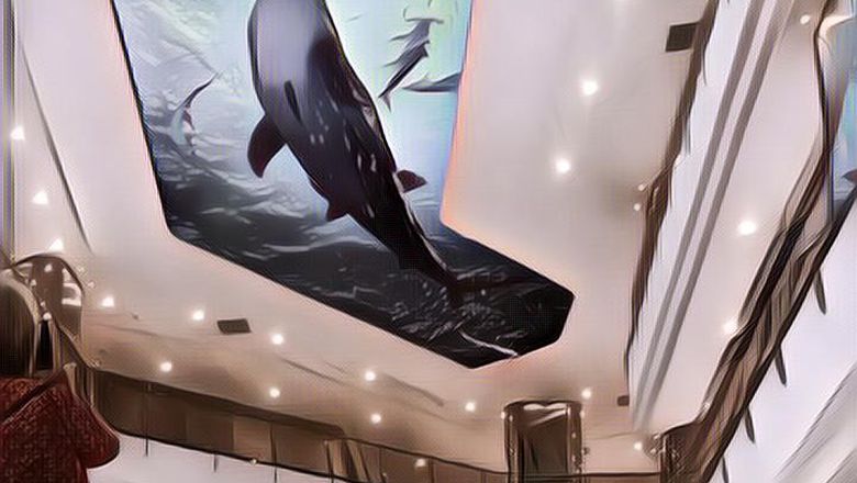 Mall di Semarang Beratapkan Akuarium Raksasa Berisi Hiu! Ini dia 4 Fakta Mall Tentrem yang Viral