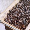 Jenis Kopi Ini Memiliki Kadar Asam yang Rendah, Cocok untuk Pecinta Kopi yang Punya Asam Lambung